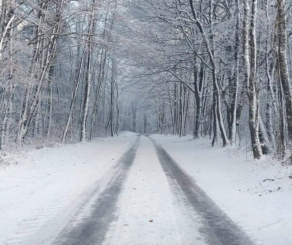 Collectes annulées et reportées